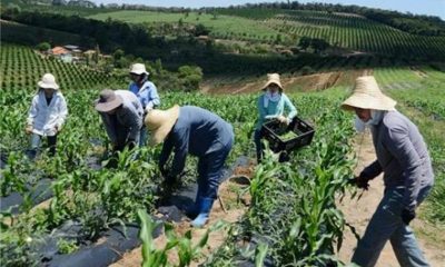 Gestores Públicos devem informar Valor da Terra Nua (VTN/ha) à Receita Federal até o dia 31 de julho