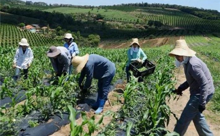 Gestores Públicos devem informar Valor da Terra Nua (VTN/ha) à Receita Federal até o dia 31 de julho