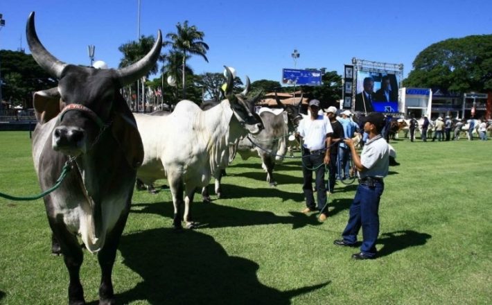 Vice-governador e secretária de Agricultura participam de abertura de feira no Triângulo