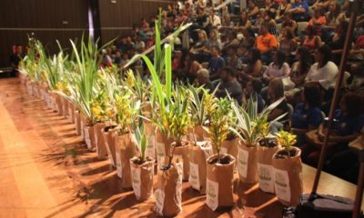 Prefeitura entrega certificados para jovens do Pequeno Jardineiro