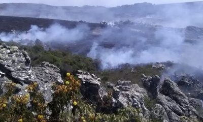 Governo amplia debate sobre manejo na prevenção de incêndios florestais