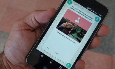 Funed lança novo aplicativo sobre as serpentes de Minas Gerais