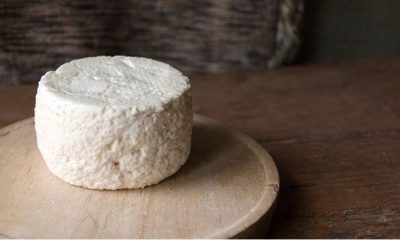 Inscrições abertas para o 1º Concurso de Queijo de Leite de Cabra e Ovelha da Região Sudeste