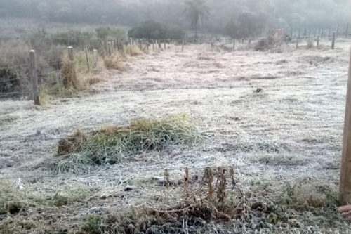 Tapira registra uma das temperaturas mais baixas dos últimos anos