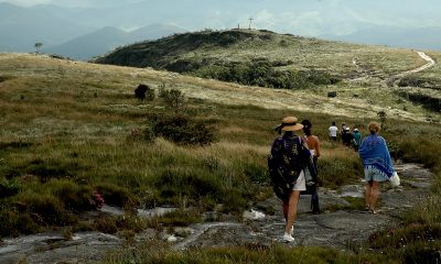Unidades de conservação selecionam voluntários